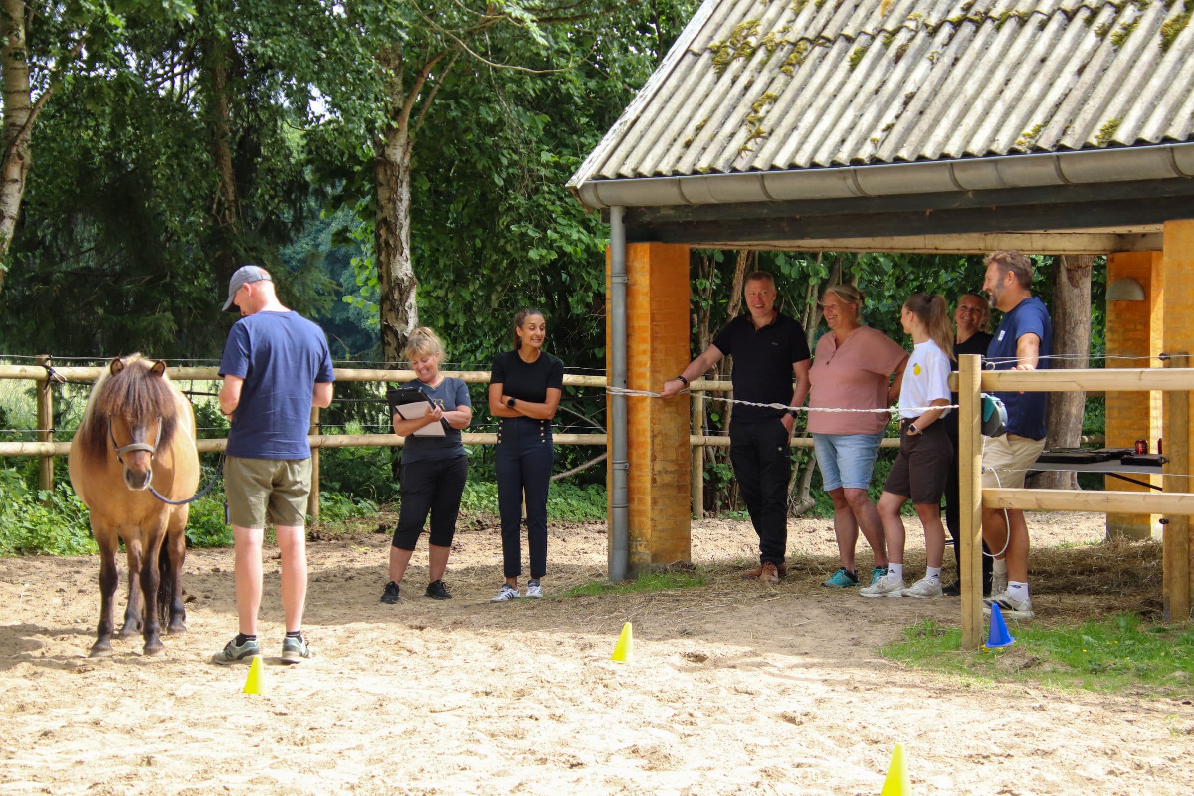 Hesteassisteret workshop - heste og mennesker i læringsrum i Nordsjælland